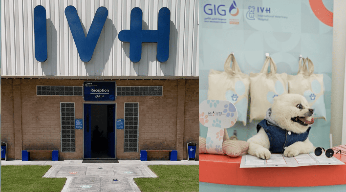 Pet Insurance Booth